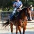 Rein-Bow Riding Academy